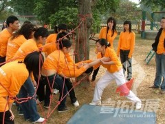 團(tuán)隊(duì)建設(shè)與企業(yè)凝聚力