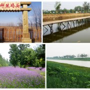 沧州神然农业生态园拓展基地