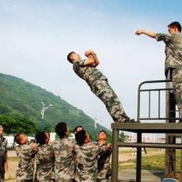 信任背摔