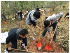 石家庄 2021石家庄春季公益植树拓展团建报名预定中