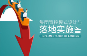 秦杨勇-团管控模式设计与落地实施
